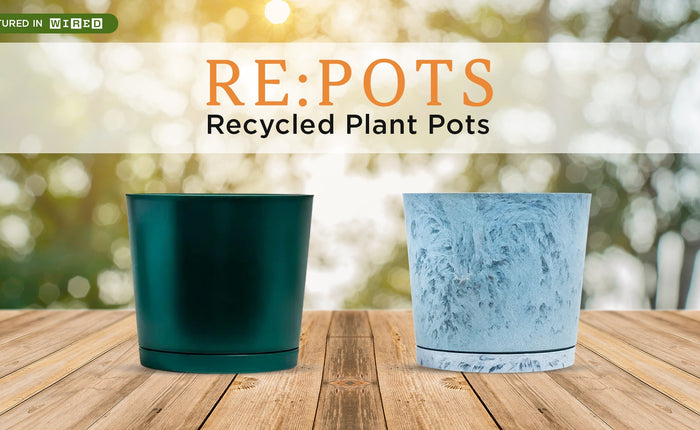 Sustainable Indoor Plant Pots